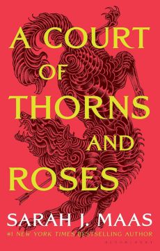 A Court of Thorns and Roses First Book Synopsis
