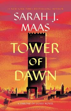 Did I Like Tower of Dawn?