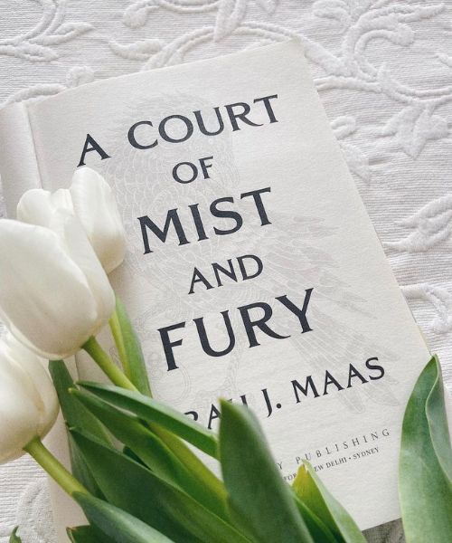 A Court Series in Order : A Court of Mist and Fury