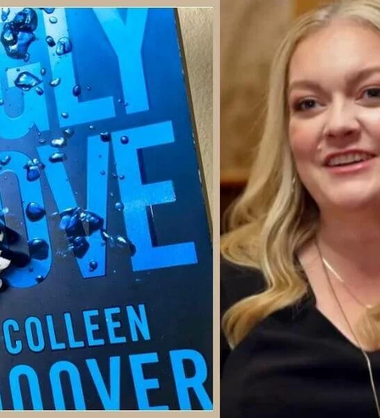 Ugly Love Summary by Colleen