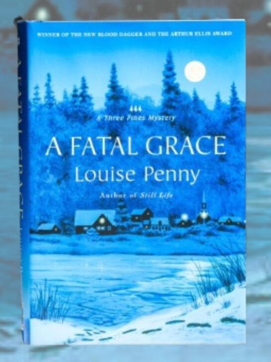 A Fatal Grace Summary and Ending Explained