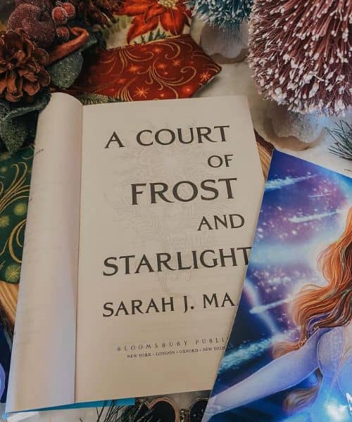 Court of Frost and Starlight Characters