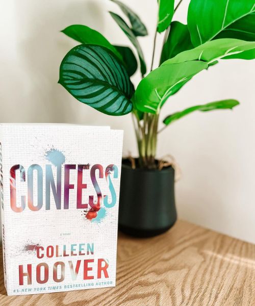 Confess Colleen Hoover Spoiler