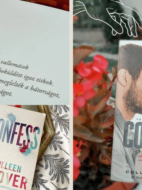 Confess by Colleen Hoover Summary