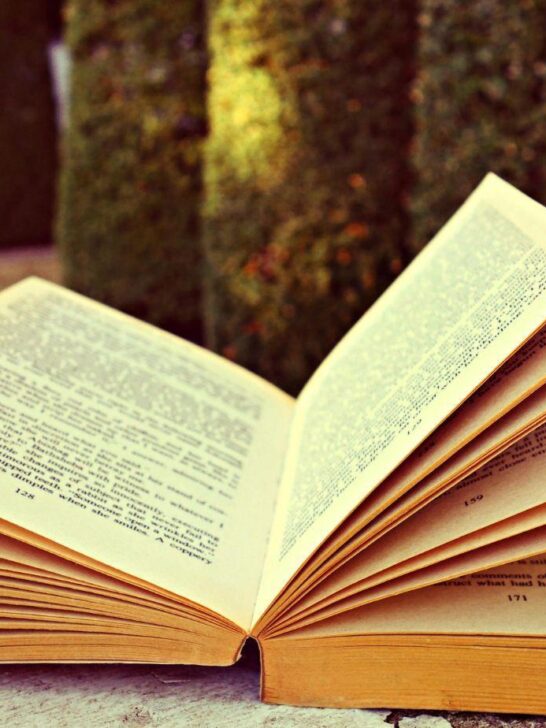 victoria aveyard adult fiction, victoria aveyard new book, victoria aveyard releases 2023, victoria aveyard novel, victoria aveyard debut adult novel, victoria aveyard book launch, victoria aveyard upcoming release, victoria aveyard literary works, victoria aveyard fiction author, victoria aveyard book news