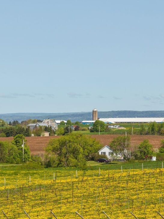 storage ideas modern farms nova scotia, farm storage solutions nova scotia, farm shed storage nova scotia, agricultural storage options nova scotia, rural farm storage ideas nova scotia, farm storage facilities nova scotia, modern farm storage systems nova scotia, storage solutions for farms nova scotia