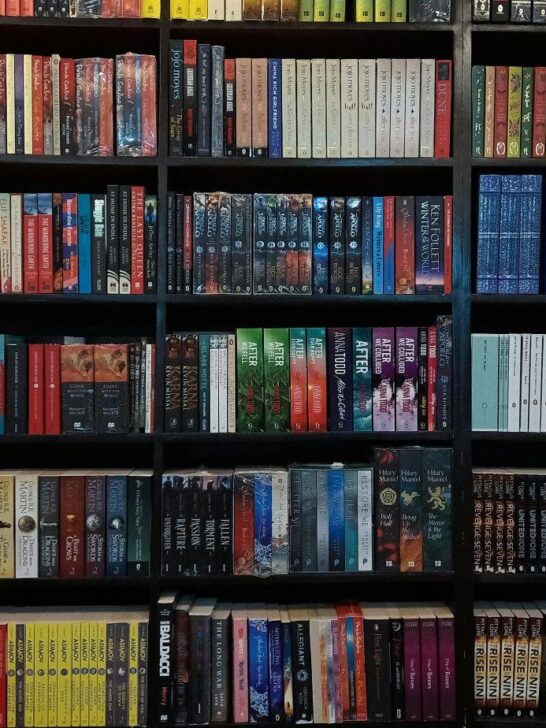 digital books trends, emerging publishing trends 2023, online book publishing, digital publishing industry, future of digital books, e-book market growth, digital publishing platforms, self-publishing digital books, publishing technology innovations, ebook distribution services