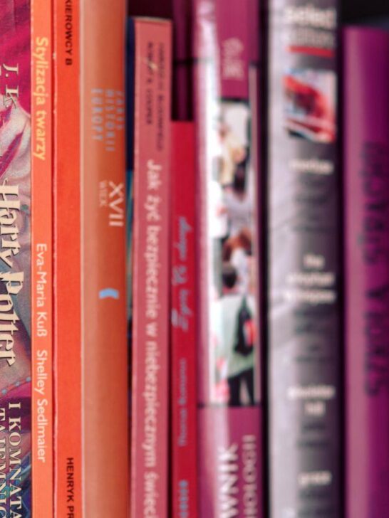 books that feel like placing a bet, risky novels, high-stakes fiction, bold literary risks, authors taking big chances, daring books to read, adventurous novels, thrill-seeking literature, provocative books, literary risk-taking
