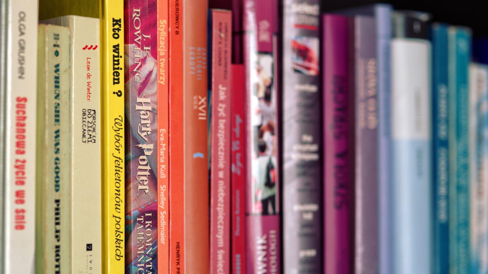 books that feel like placing a bet, risky novels, high-stakes fiction, bold literary risks, authors taking big chances, daring books to read, adventurous novels, thrill-seeking literature, provocative books, literary risk-taking