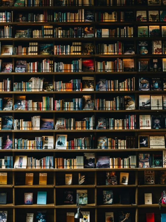Wooden Bookshelves Filled with Books&nbsp;