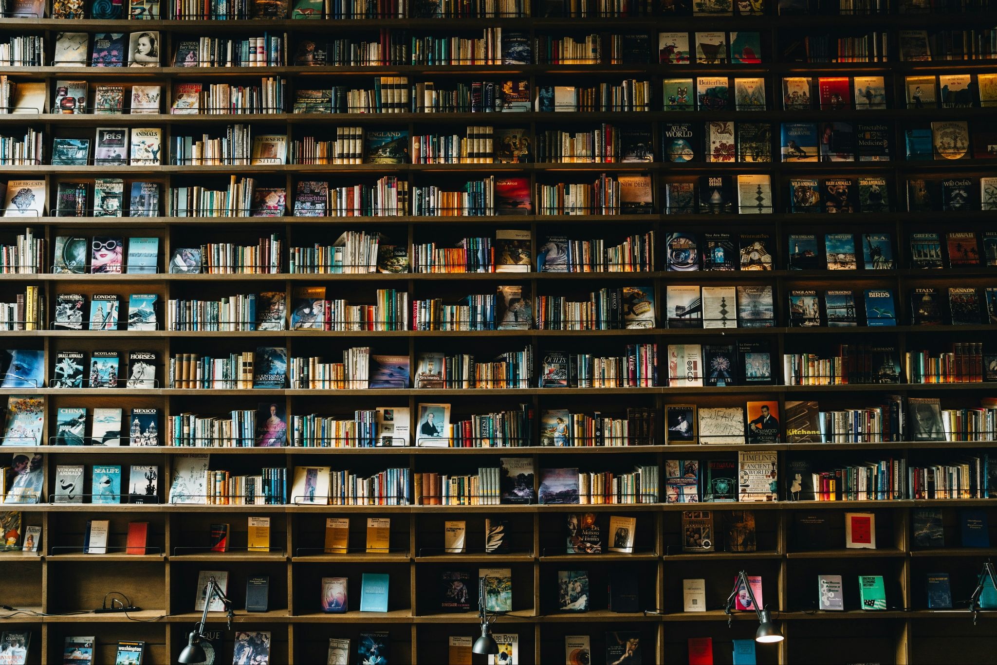 Wooden Bookshelves Filled with Books